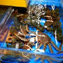 소래포구 쭈꾸미 철에 맛있게 먹는 방법 공개! 종합어시장 시세 및 후기입니다.