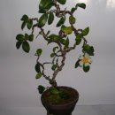 (유)현유 이미지