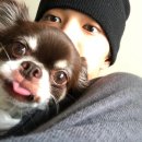 해피