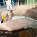 안산소방서(대부119안전센터)