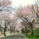 주산목장 이미지