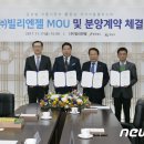 (주)엔젤식품 이미지