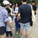 유니바라기