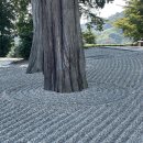 진흥카 | [도쿄여행] 도쿄 근교로 떠나보자 😘 에노우라 측후소 다녀오기 (도쿄에서 당일치기, 예매방법, 후기)