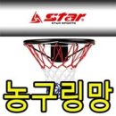 골망