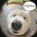 썬헤어라인 이미지