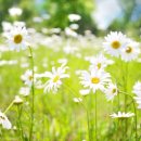 더샵지제역센트럴파크1BL 이미지