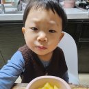 헬로샌디치 이미지