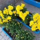 태인농장 이미지