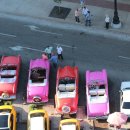 주정차단속-16 이미지