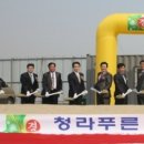 구립청라푸른어린이집