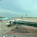 시애틀 | 델타항공 기내식 &amp; 서비스 리얼 후기 (인천-시애틀)