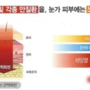 다비치안경 다대농협사거리점 네이버블로그