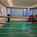 금성 복싱체육관 이미지