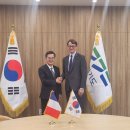 베르투