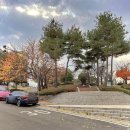 팽성어린이공원 이미지