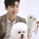 메이킹 이미지