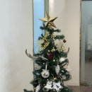 레푸스서면점 이미지