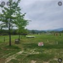 동락파크골프장 이미지