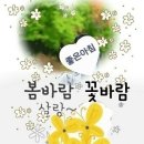 칠곡초등 Daum카페