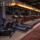 DY피트니스 이미지