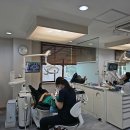 장성치과의원 | 인계동 치과 이만한 곳이 있을까 싶다
