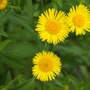 방아다리공원 이미지