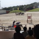 라온더마파크 이미지