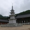 용화만물 이미지