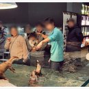 동물원 화장실 이미지