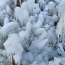 칠보산오리 이미지