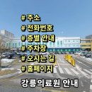 강원특별자치도강릉의료원 | 강릉의료원 전화번호 주소 진료시간 층별안내 주차장 홈페이지 채용 안내