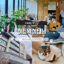 히트왁싱태닝