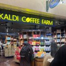 콩드립 | 일본 삿포로 칼디커피 기념품 드립백 칼디커피팜 워터드립백 후기