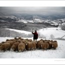 태권목장 이미지