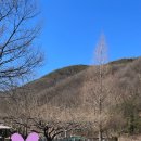 카페공가