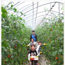 서영2농장 이미지