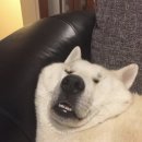 가우디모텔 이미지