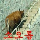 공감 이미지