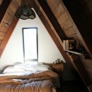 숲속원룸 이미지