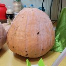 대왕농장 이미지