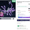 아이리스 PC POP 이미지