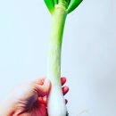 다래농원 이미지