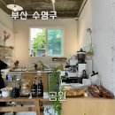 공원 | 부산 광안리 혼자 브런치 카페 맛집 공원 후기 평일 웨이팅 현황