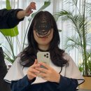 살롱드노엘 이미지
