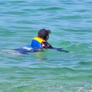 펜션티케하우스 | 강원도 여름여행 코스 강릉 1박 2일 일정 숙소 소개