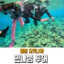 오키나와 북부 민나섬 투어 가는방법 보트 스노쿨링 액티비티 3종 미취학 아이 후기