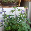 동의중학교 이미지