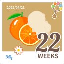 와이즈산후조리원 이미지