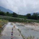 고례대추농원